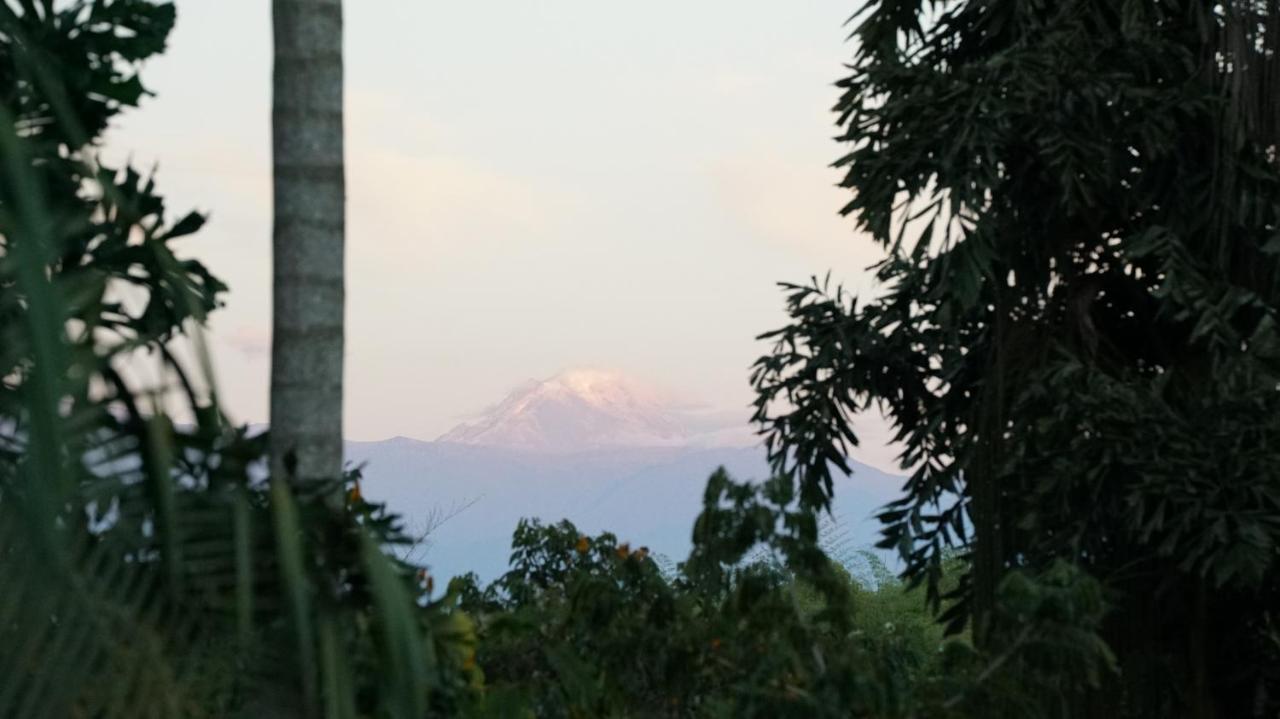 Finca La Argelia Quimbaya Exterior photo